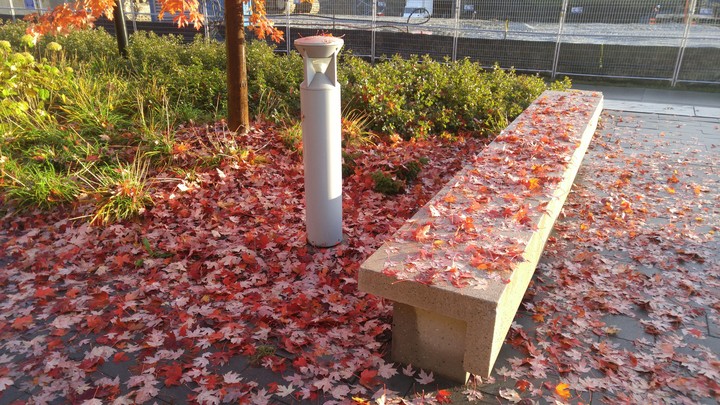 In the Fall