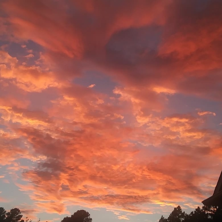 Cotton Candy Sky
