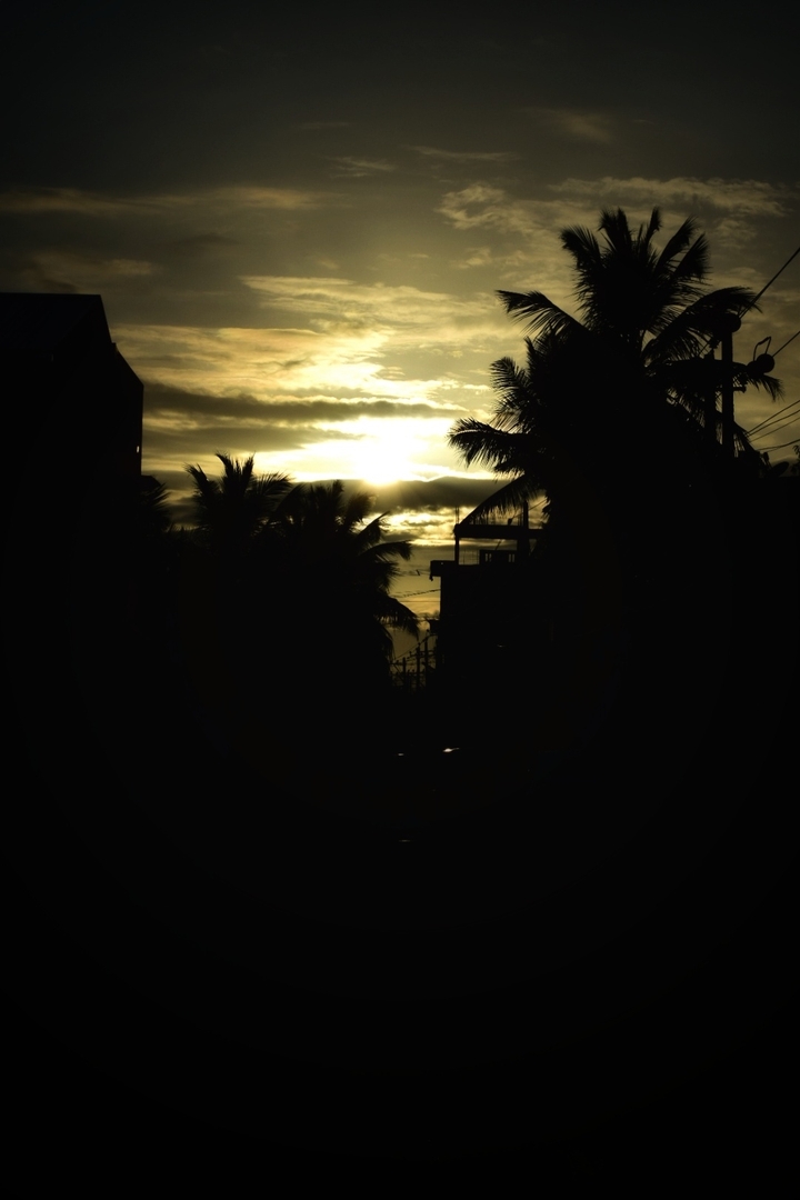 sunset