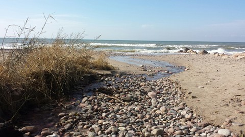 River ant the sea