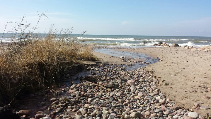 River ant the sea