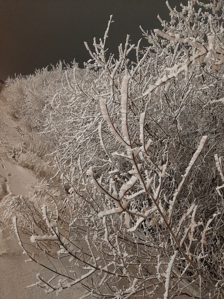 ?