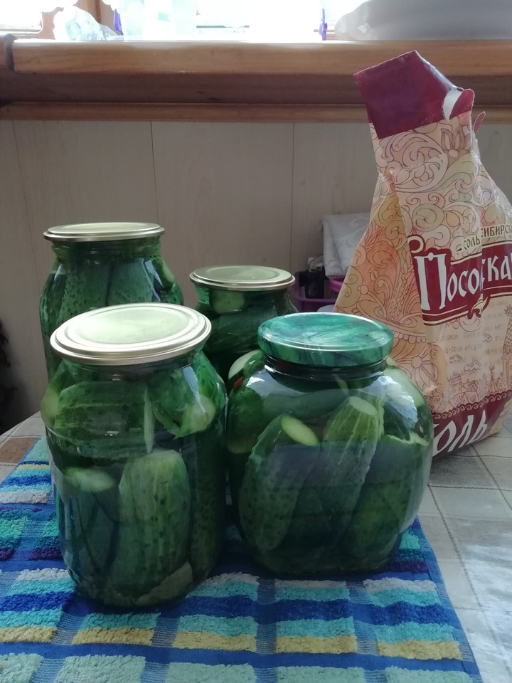 Залолочный сезон начался.