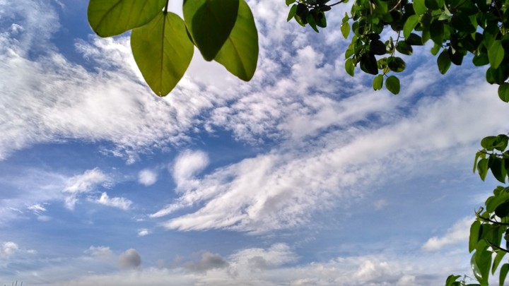 Natural frame