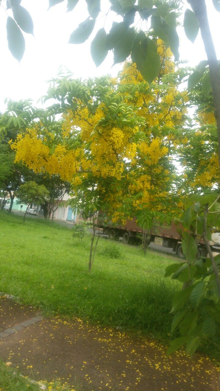 Boa tarde