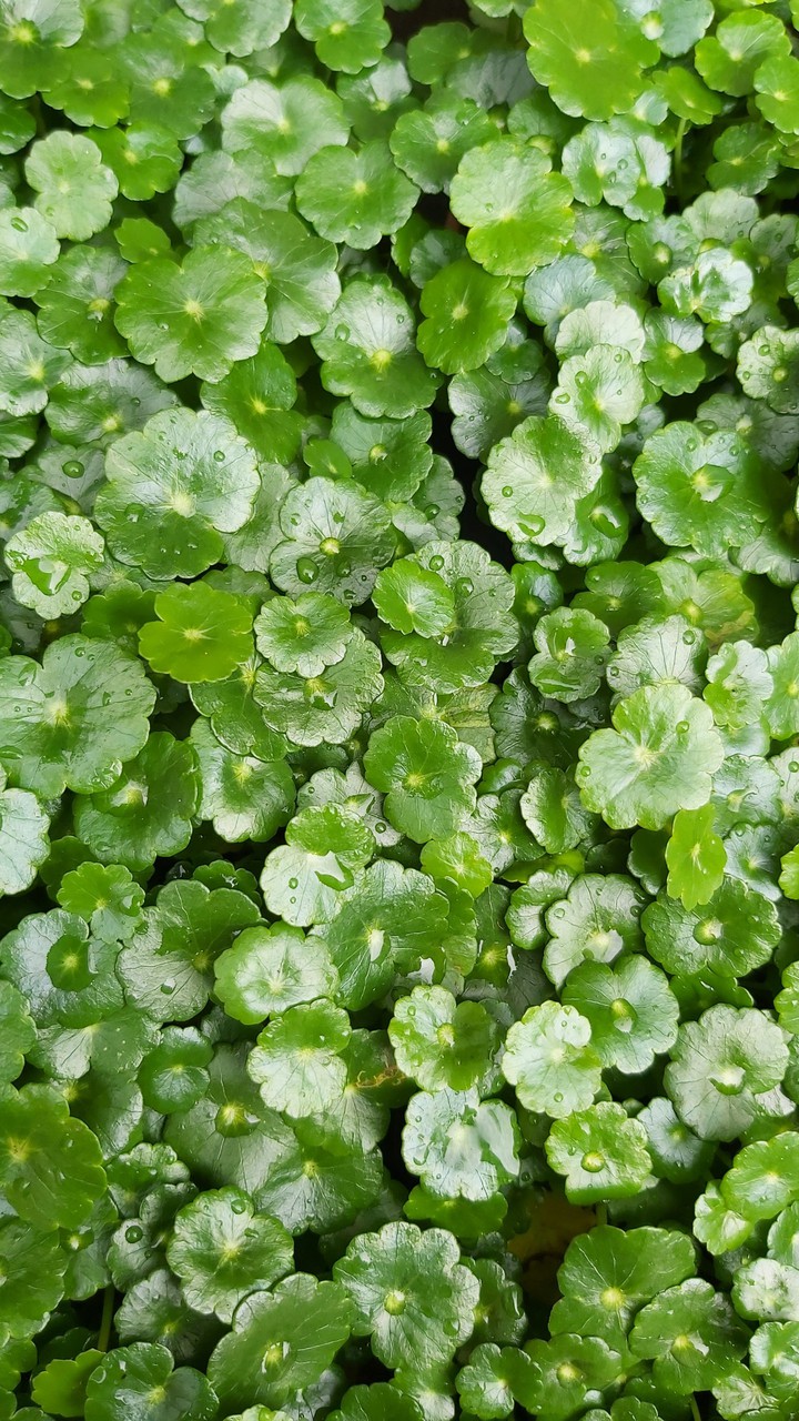 ❤