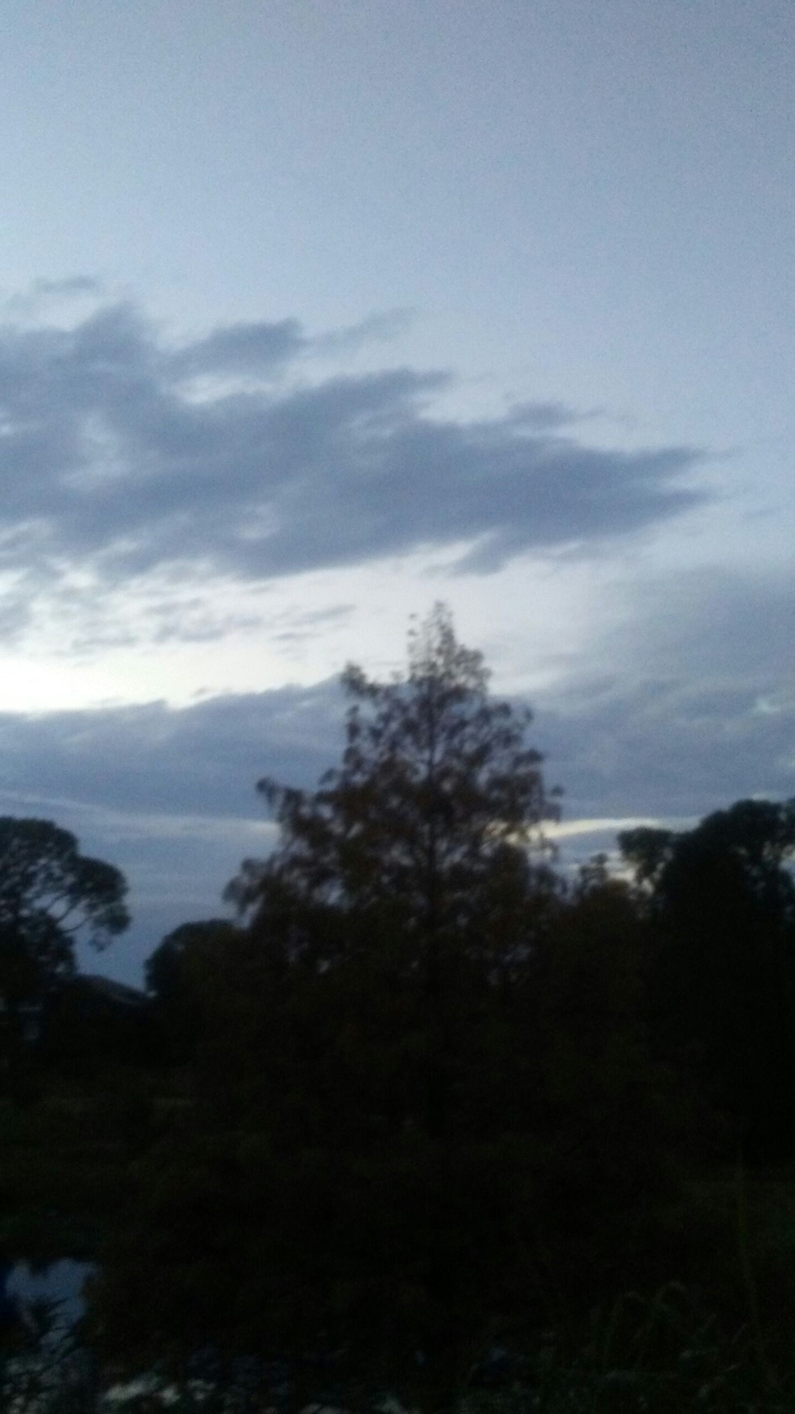 it's a gloomy day in Florida