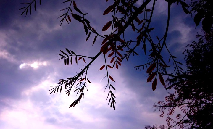 OTOÑO Y ATARDECER EN SAN LORENZO, GRO.
