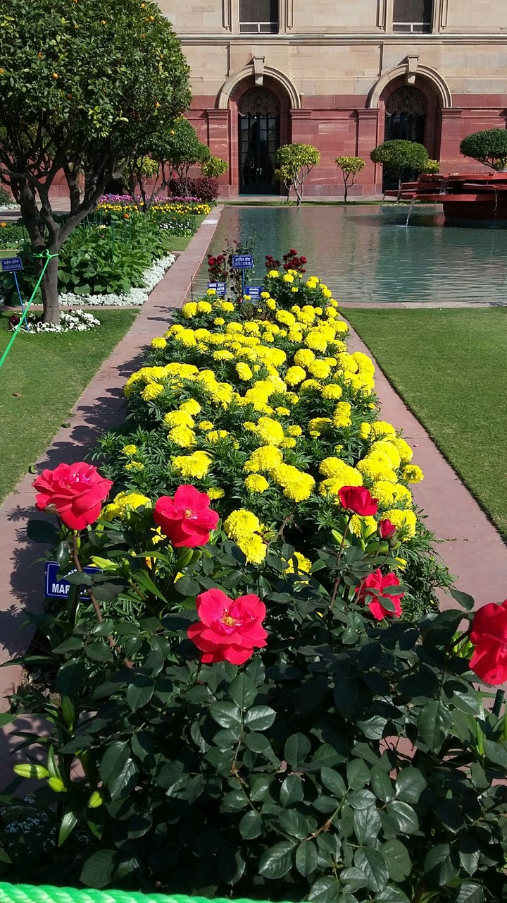 mughal garden