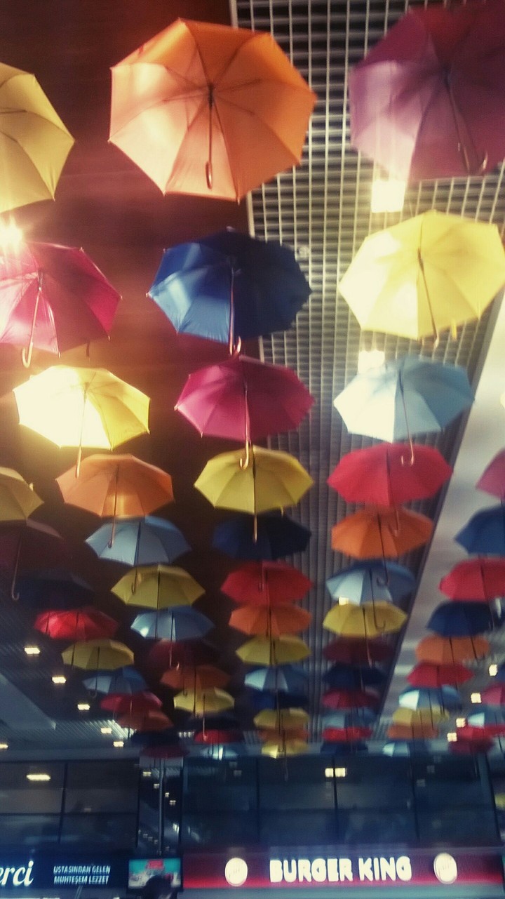 umbrella