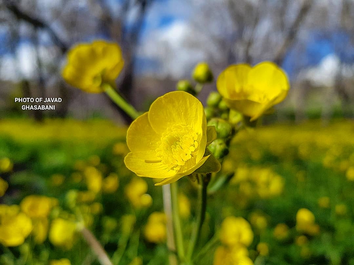 The beautiful nature of Iran