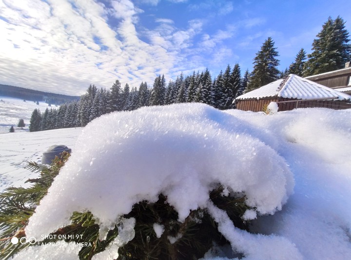 winter frost