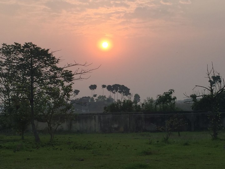 morning