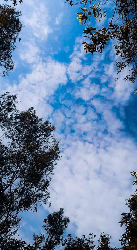 sky