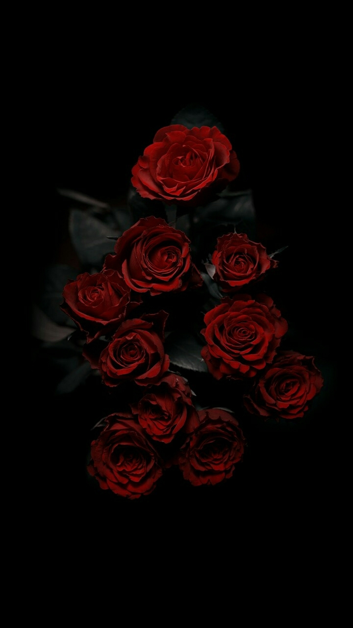 Roses