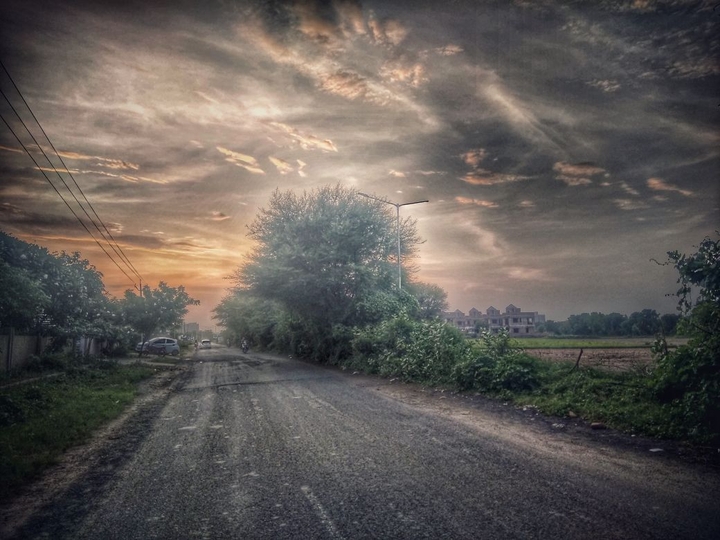 nature