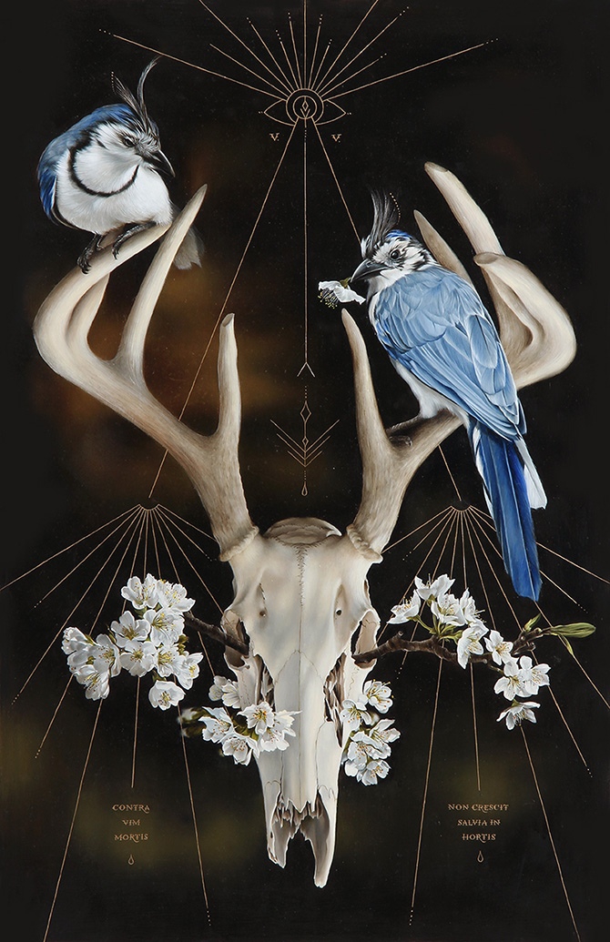 Deer Scull
