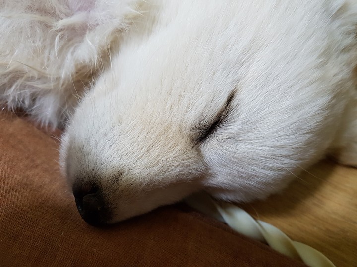 나 깨우지 마세요.