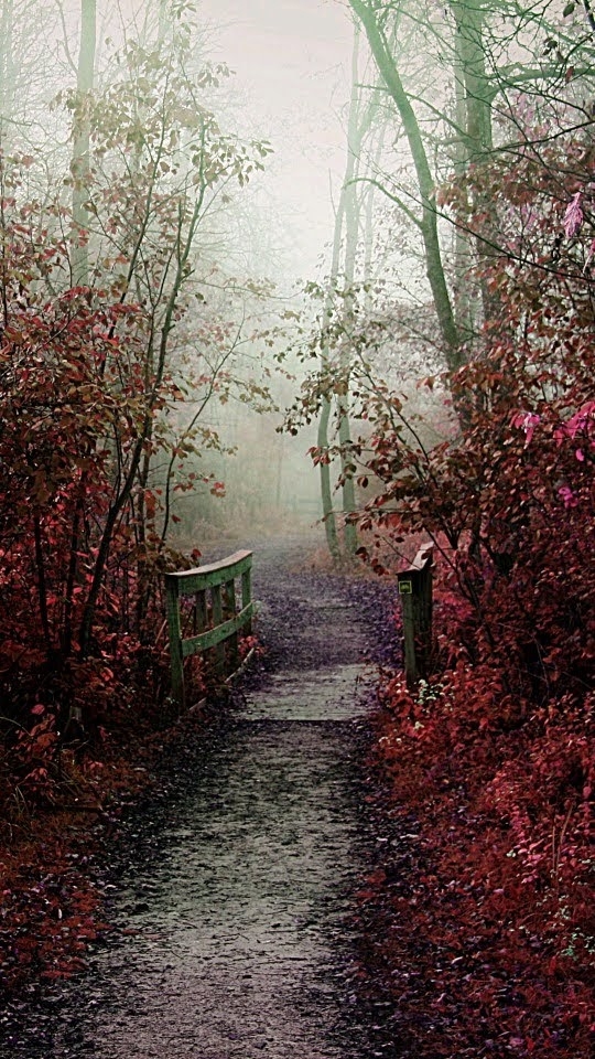winter scene