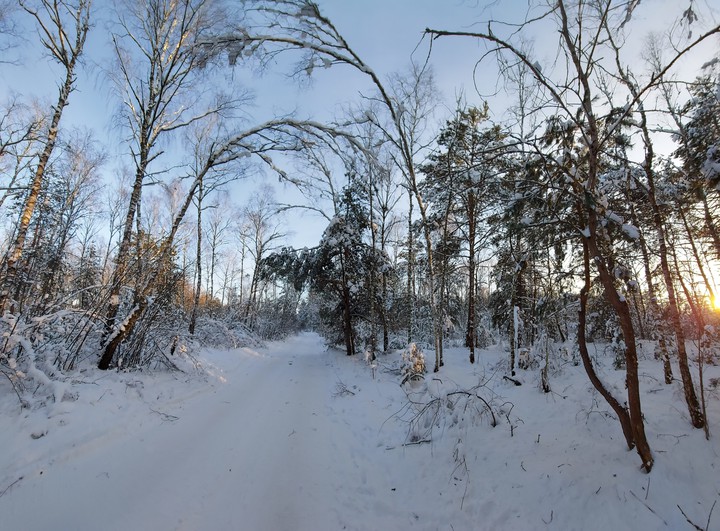 winter