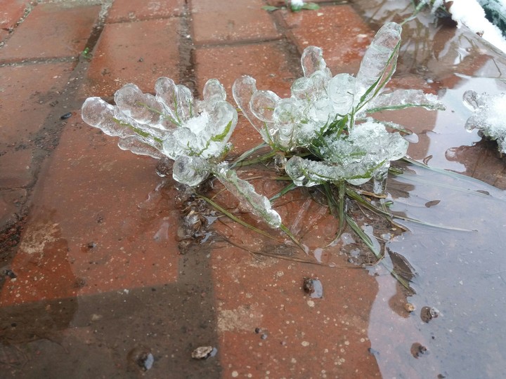 The ice covers the grass