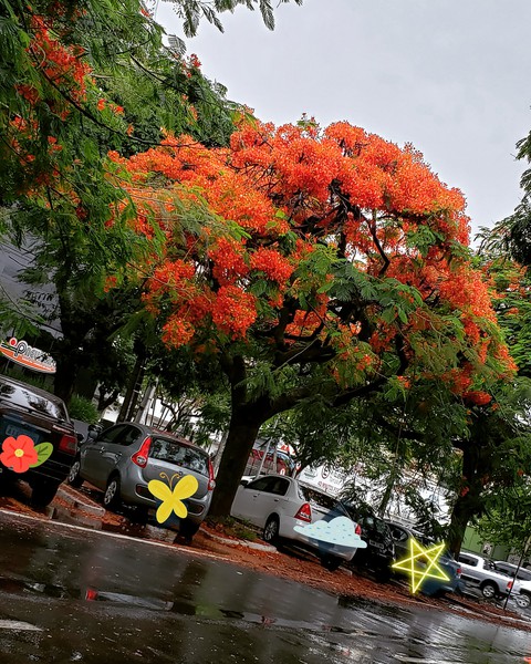 chuva