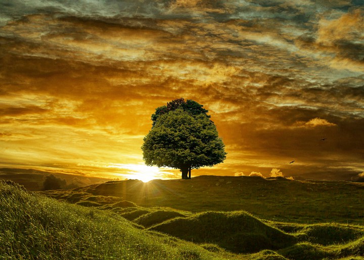 lov'in sunset