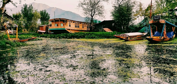 houseboats
