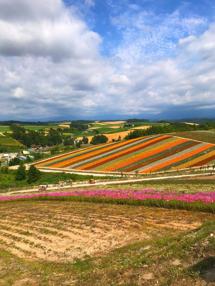 Garden in Japan