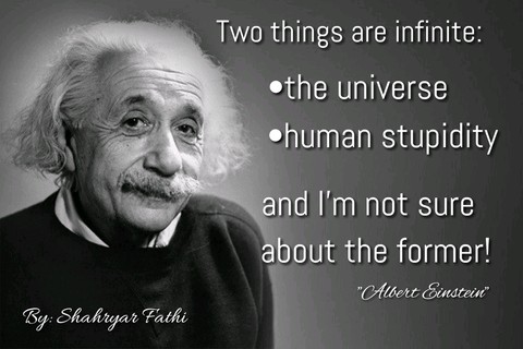 human stupidity