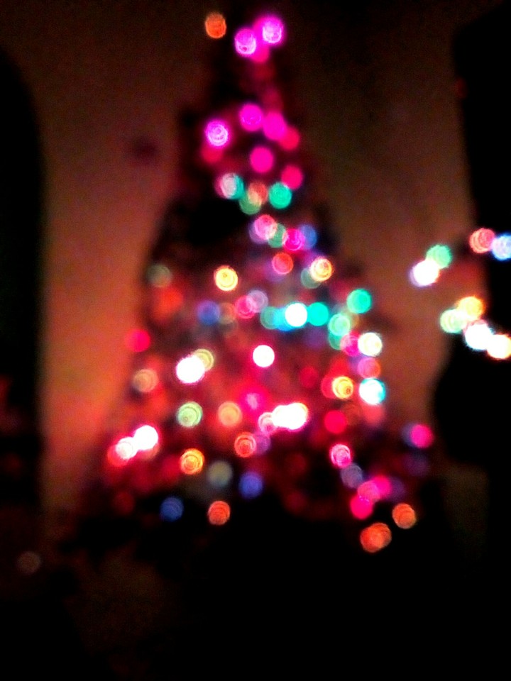 Holiday c: