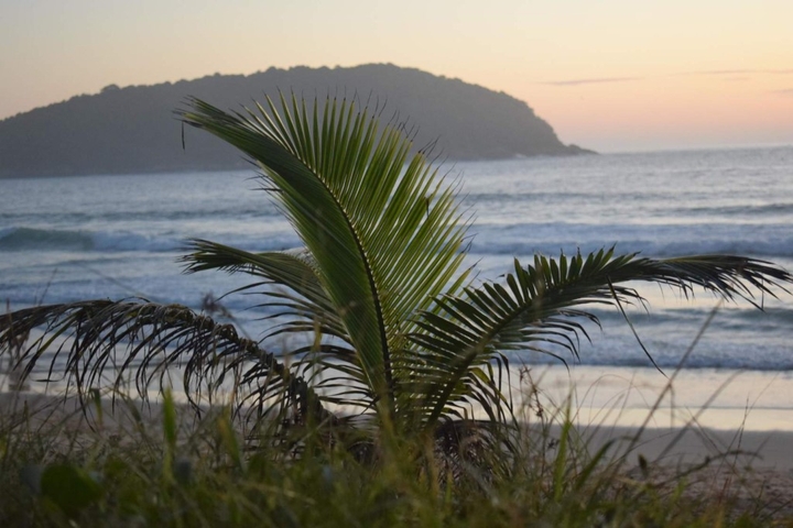 the piece of paradise
