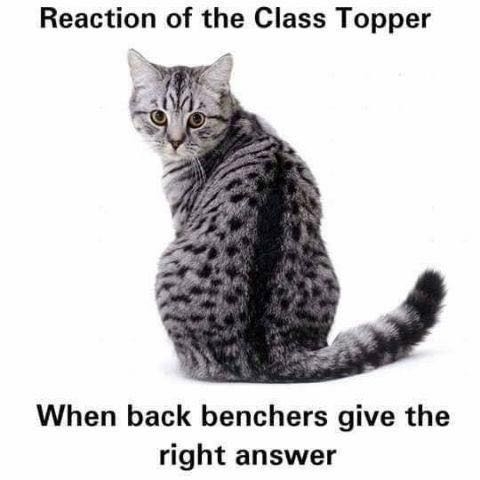 reaction