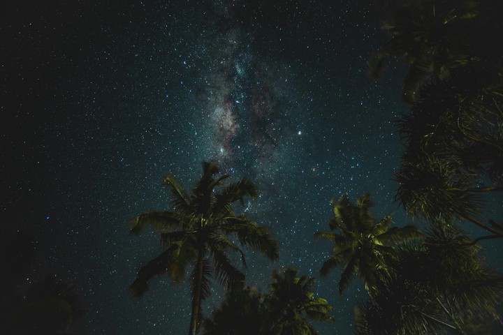 night