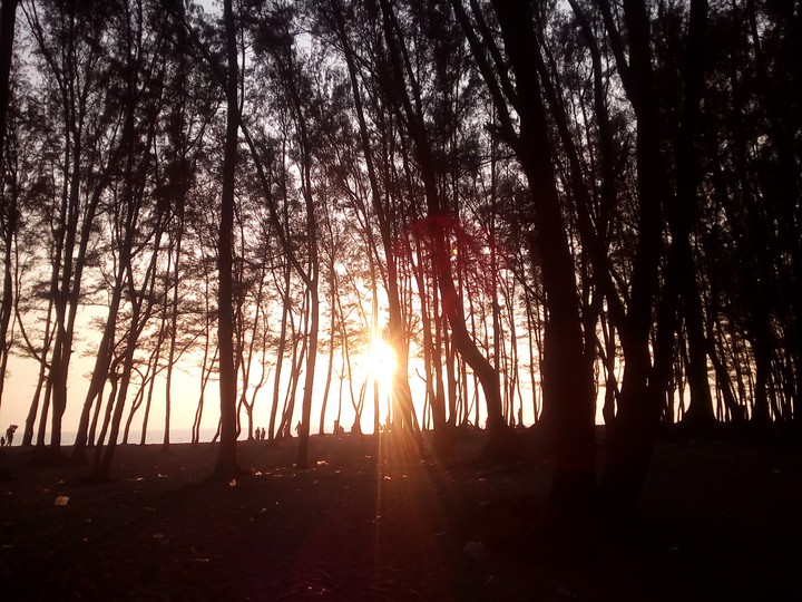 cox-bazar