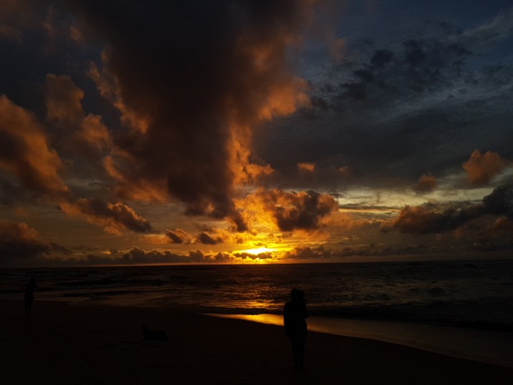 sea shore