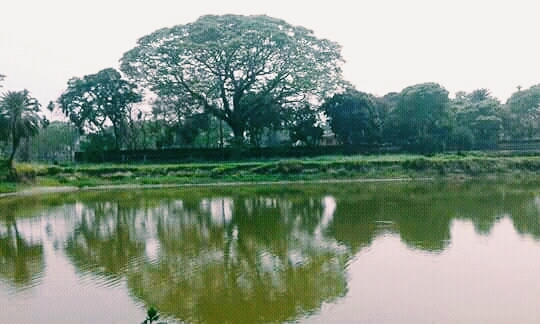Delduar jamidar bari