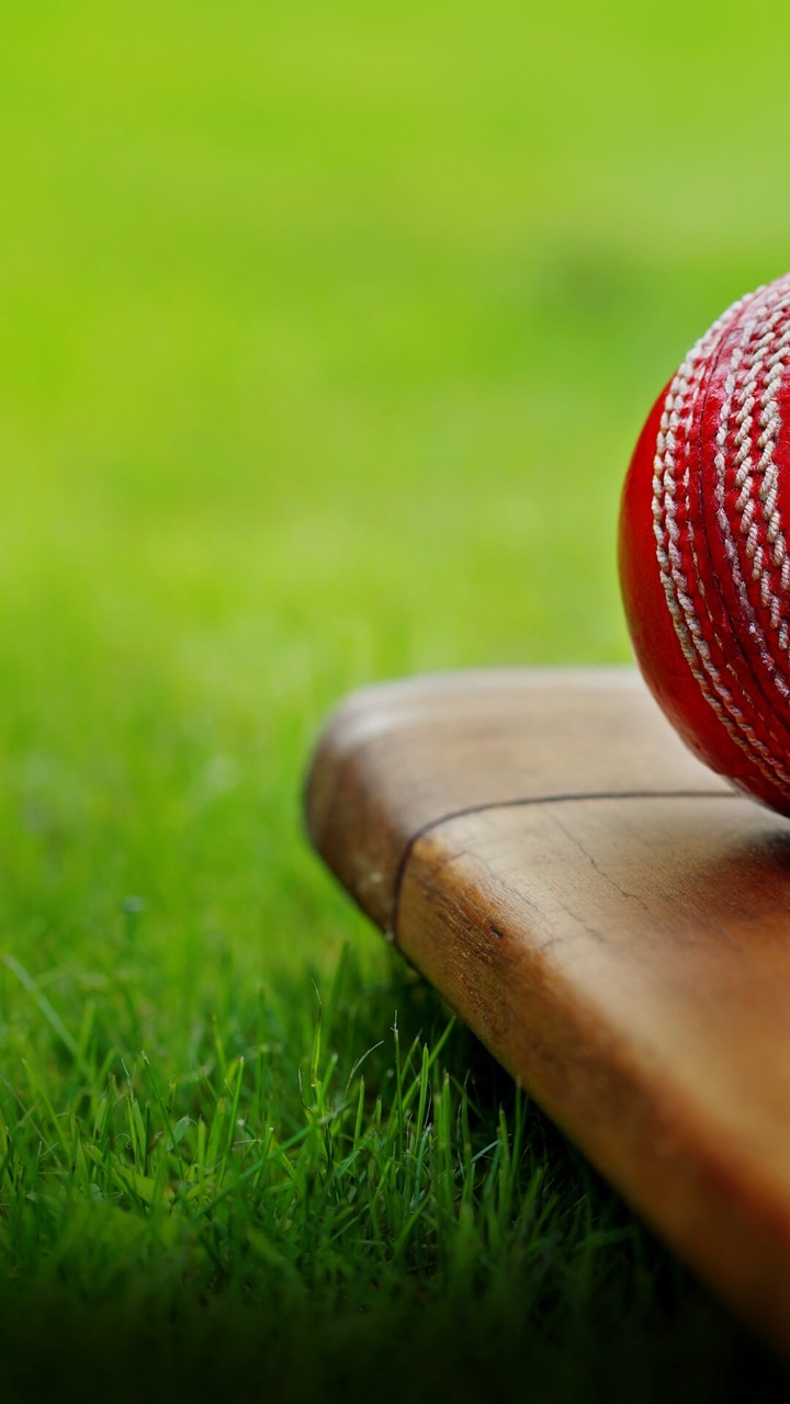 Cricket