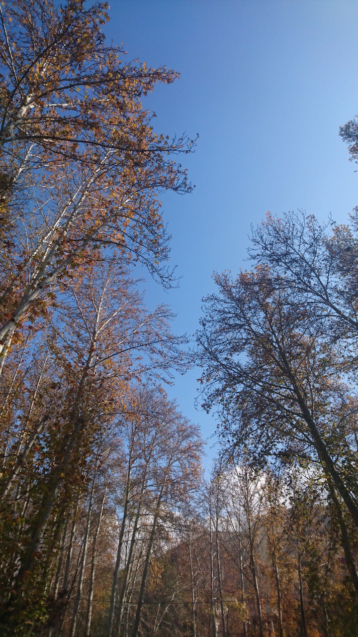 fall