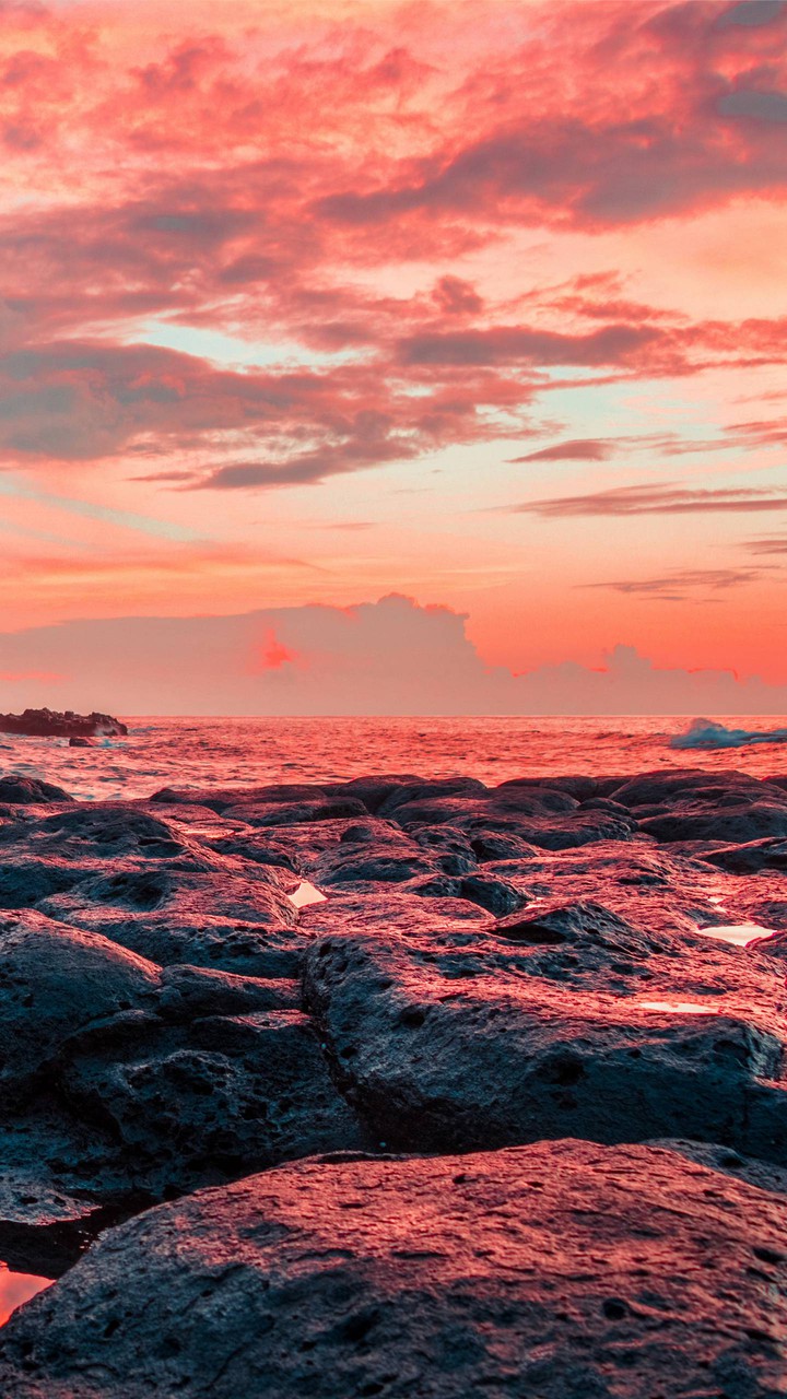 at the sea
