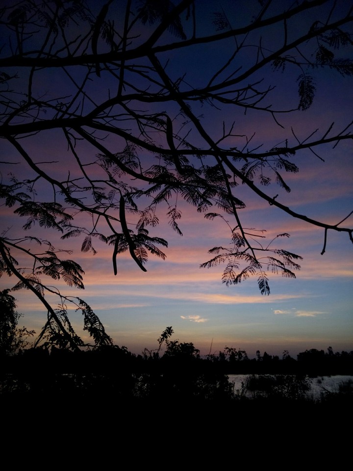 dawn