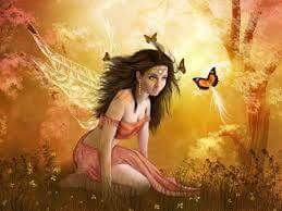 fairy