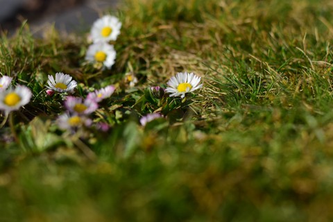 Spring