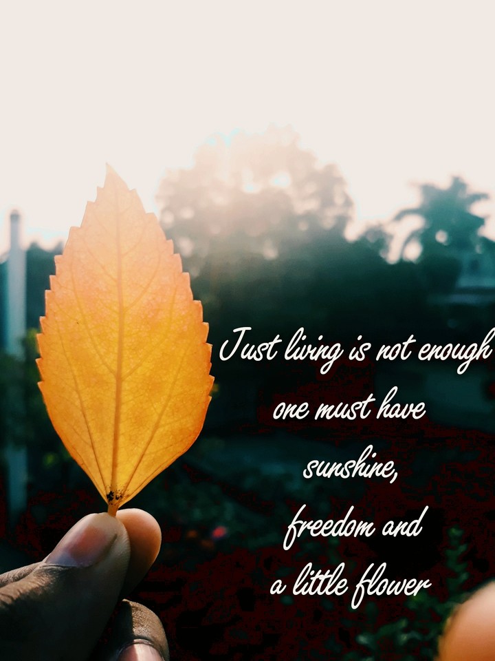 Quotes