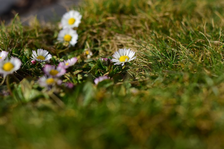 Spring