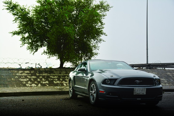 mustang
