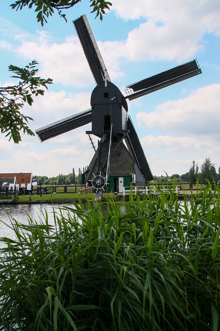 molen
