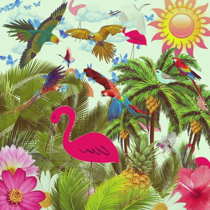 Tropical