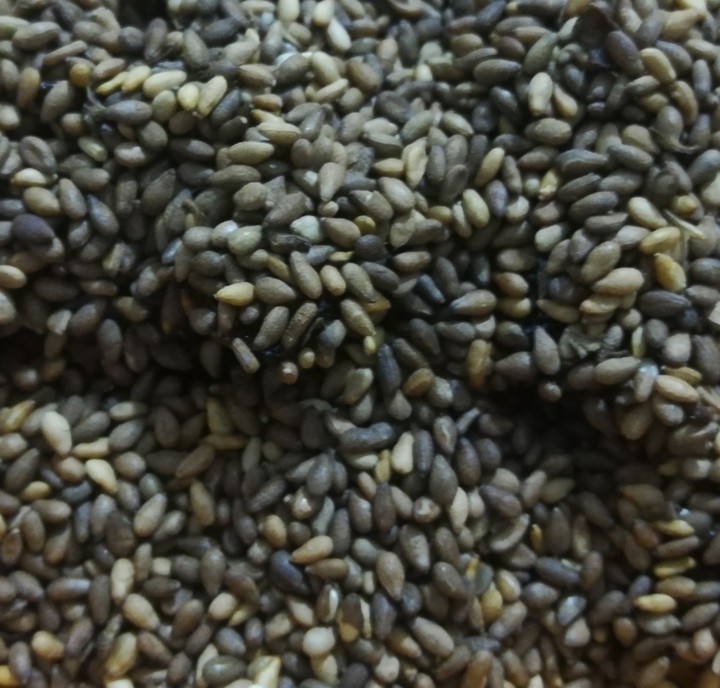 sesame