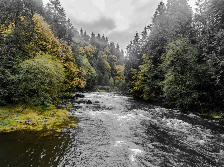 Kalama River in Washington State